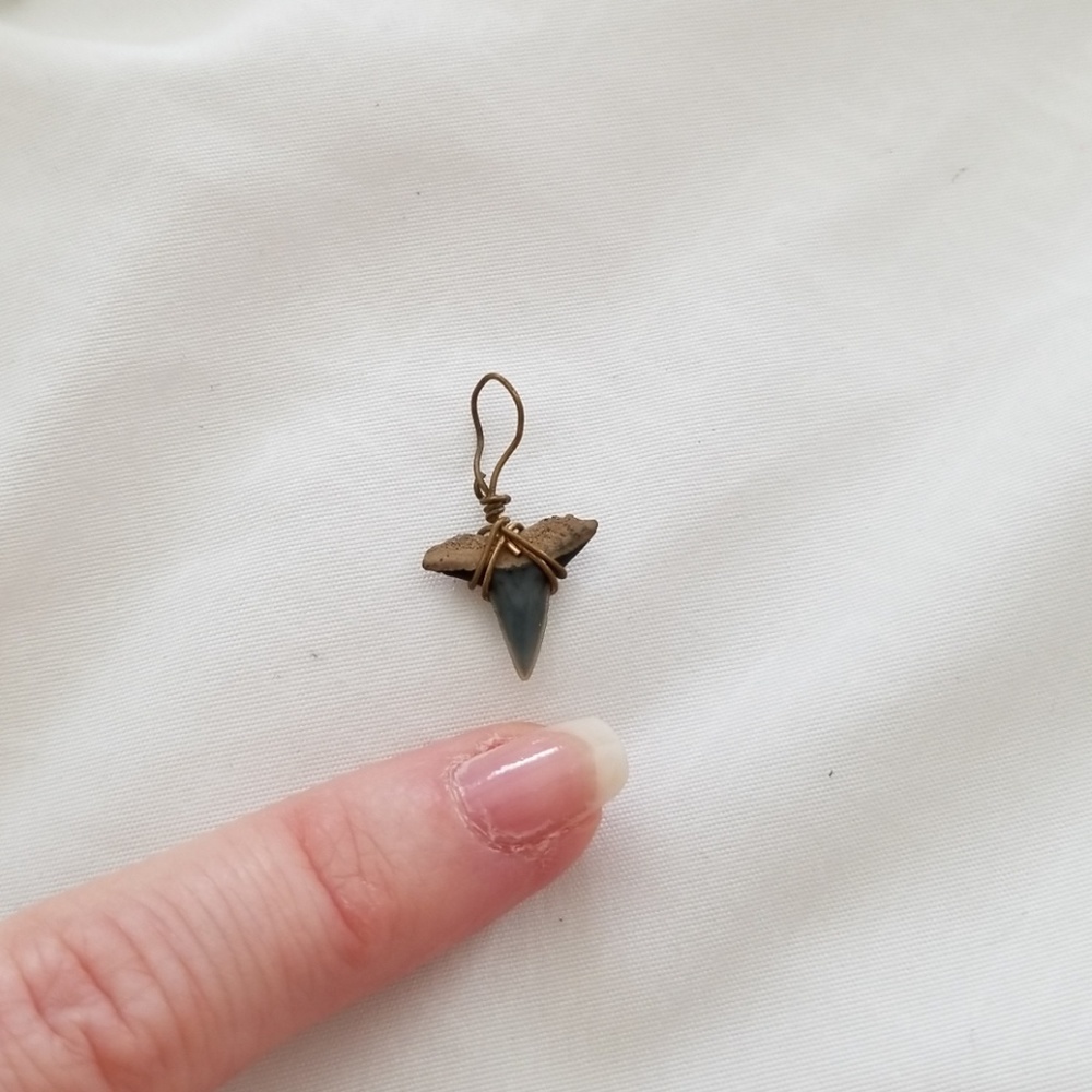 Shark tooth charm
